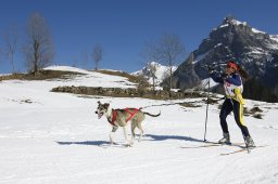 Kandersteg 2011