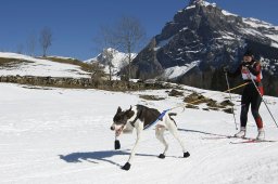 Kandersteg 2011