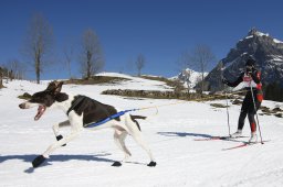 Kandersteg 2011