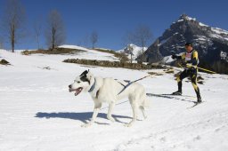 Kandersteg 2011