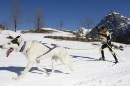 Kandersteg 2011