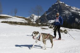 Kandersteg 2011