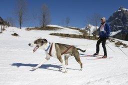 Kandersteg 2011