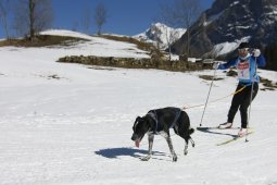 Kandersteg 2011