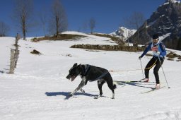 Kandersteg 2011