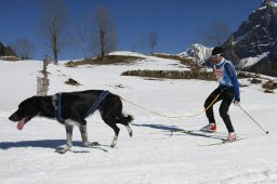 Kandersteg 2011