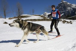 Kandersteg 2011