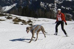 Kandersteg 2011