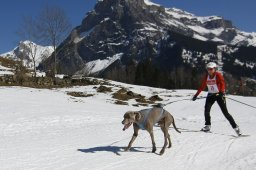 Kandersteg 2011