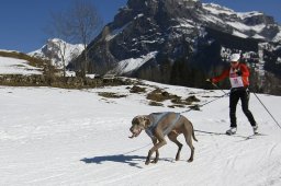 Kandersteg 2011