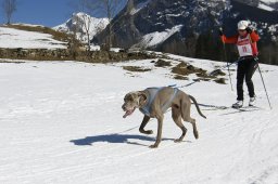 Kandersteg 2011