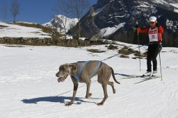 Kandersteg 2011