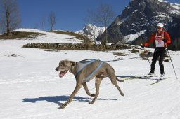 Kandersteg 2011