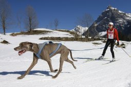 Kandersteg 2011