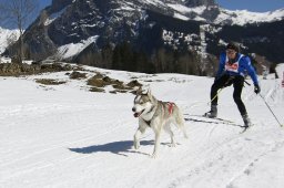 Kandersteg 2011