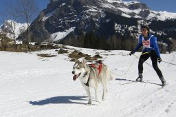 Kandersteg 2011