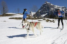 Kandersteg 2011