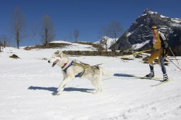 Kandersteg 2011