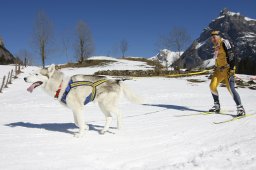 Kandersteg 2011