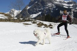 Kandersteg 2011