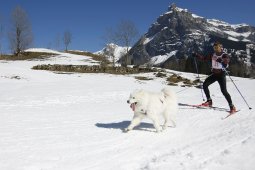 Kandersteg 2011