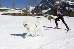 Kandersteg 2011