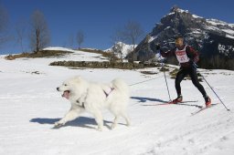 Kandersteg 2011