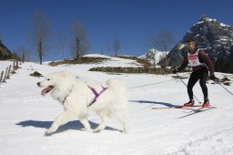 Kandersteg 2011