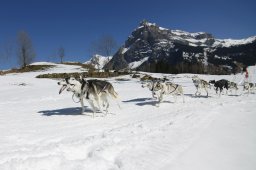 Kandersteg 2011