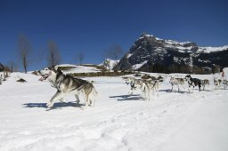 Kandersteg 2011