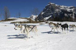 Kandersteg 2011