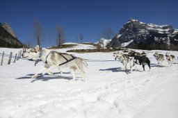 Kandersteg 2011