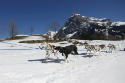 Kandersteg 2011