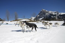 Kandersteg 2011