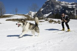 Kandersteg 2011