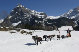 Kandersteg 2011