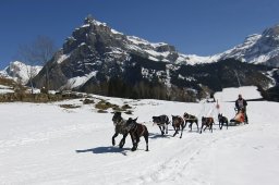 Kandersteg 2011