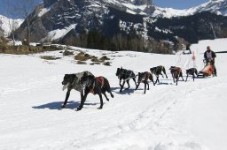 Kandersteg 2011