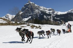 Kandersteg 2011