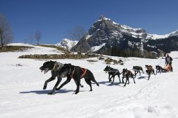 Kandersteg 2011