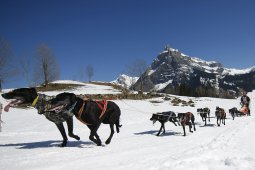 Kandersteg 2011