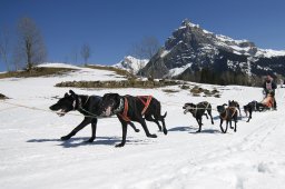 Kandersteg 2011