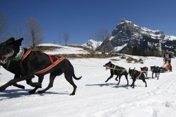 Kandersteg 2011