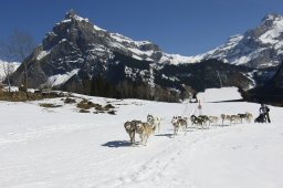 Kandersteg 2011