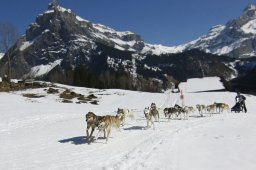 Kandersteg 2011