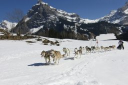 Kandersteg 2011