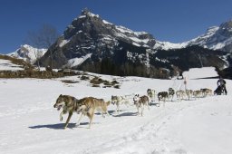 Kandersteg 2011