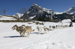 Kandersteg 2011