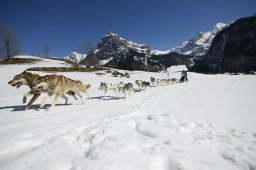 Kandersteg 2011