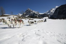 Kandersteg 2011